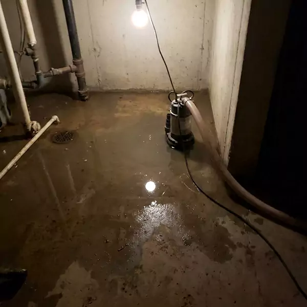 Basement Flood Clean Up in Hollywood, FL