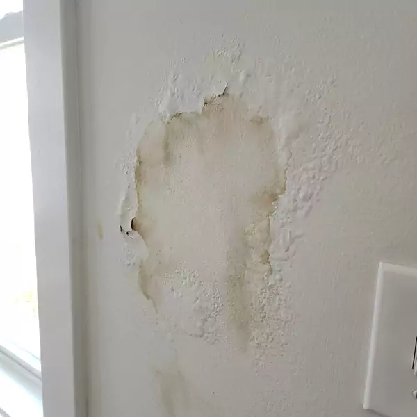 Expert Drywall Water Damage Repair in Hollywood, FL