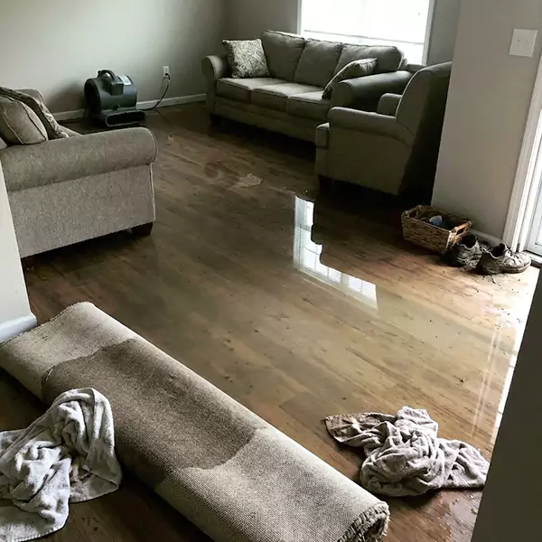 Flood Restoration in Hollywood, FL