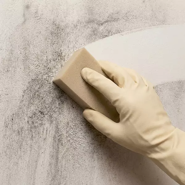 Smoke Cleaning in Hollywood, FL 