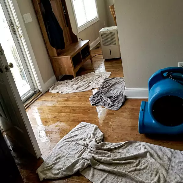 Water Mitigation in Hollywood, FL