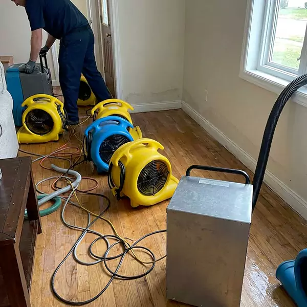 Water Mitigation Services in Hollywood, FL