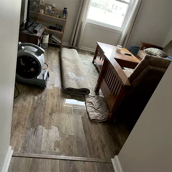 Water Restoration in Hollywood, FL