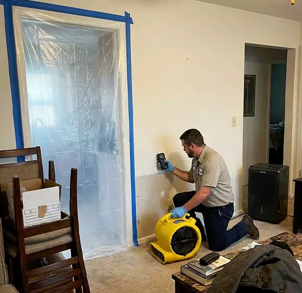 Why Homeowners & Businesses Choose Water Restoration Hollywood FL for Water Remediation in Hollywood, FL?