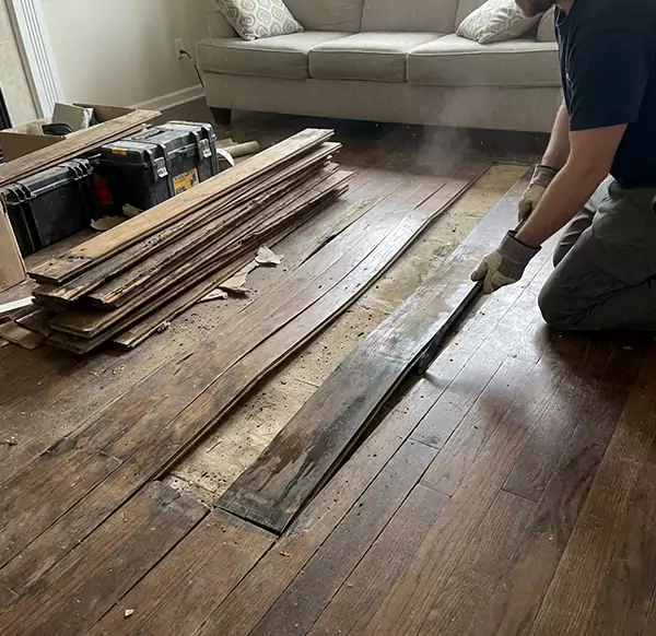 Why Choose Water Restoration Hollywood FL for Wood Floor Water Damage Repair in Hollywood, FL?